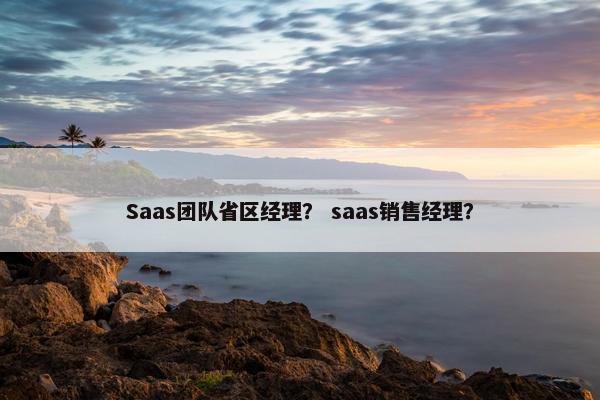 Saas团队省区经理？ saas销售经理？