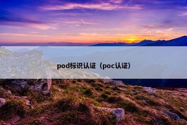 pod标识认证(poc认证)