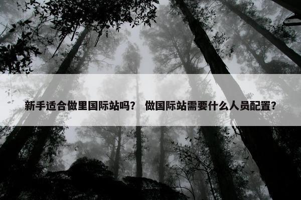 新手适合做里国际站吗？ 做国际站需要什么人员配置？