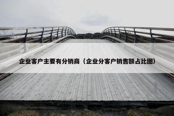 企业客户主要有分销商（企业分客户销售额占比图）