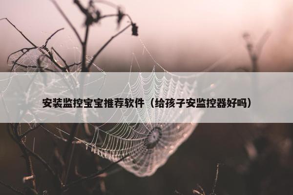 安装监控宝宝推荐软件（给孩子安监控器好吗）