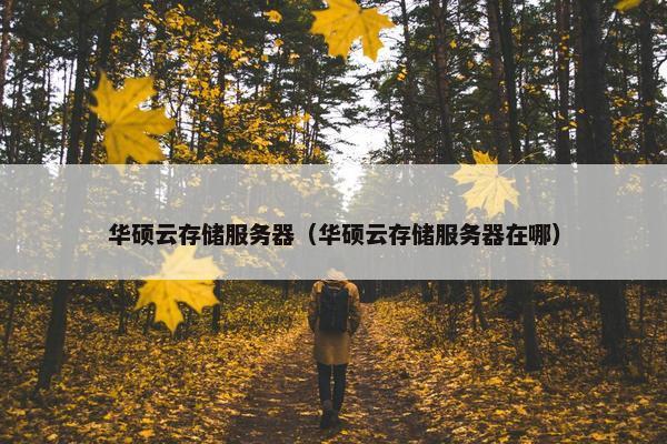 华硕云存储服务器（华硕云存储服务器在哪）