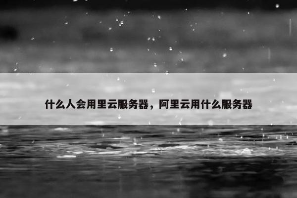 什么人会用里云服务器，阿里云用什么服务器