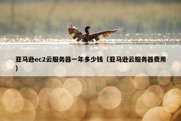 亚马逊ec2云服务器一年多少钱（亚马逊云服务器费用）