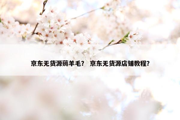 京东无货源薅羊毛？ 京东无货源店铺教程？
