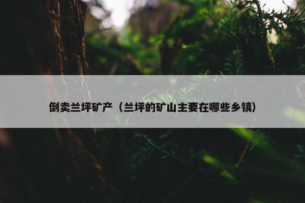 倒卖兰坪矿产（兰坪的矿山主要在哪些乡镇）