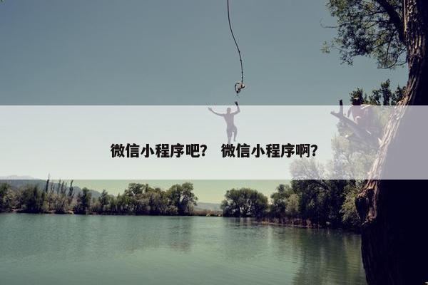 微信小程序吧？ 微信小程序啊？