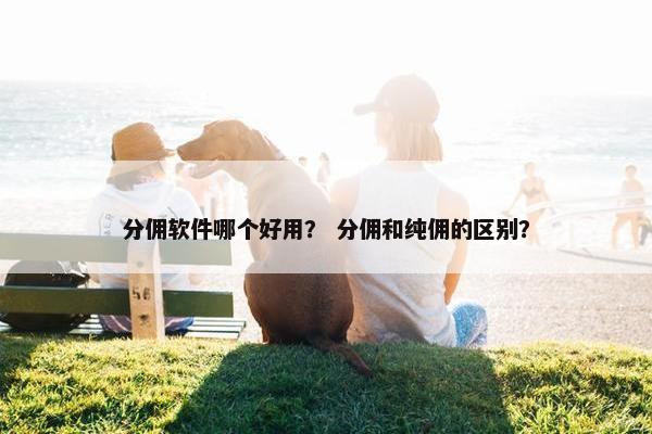 分佣软件哪个好用？ 分佣和纯佣的区别？
