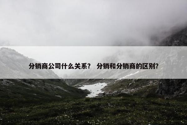 分销商公司什么关系？ 分销和分销商的区别？