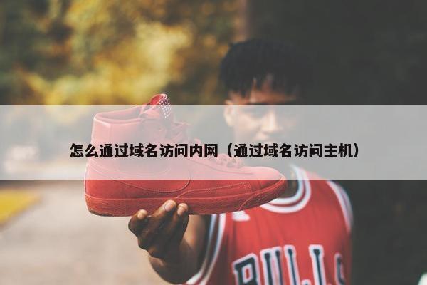 怎么通过域名访问内网（通过域名访问主机）
