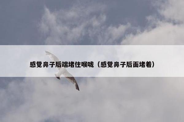 感觉鼻子后端堵住喉咙（感觉鼻子后面堵着）