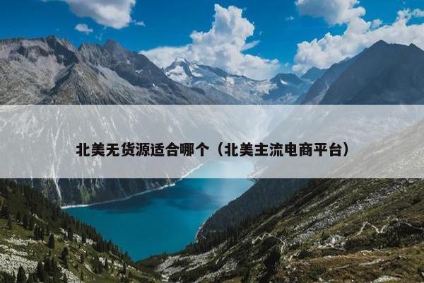 北美无货源适合哪个（北美主流电商平台）
