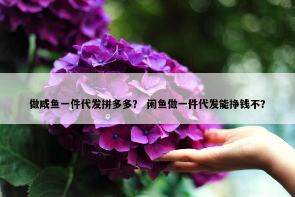 做咸鱼一件代发拼多多？ 闲鱼做一件代发能挣钱不？
