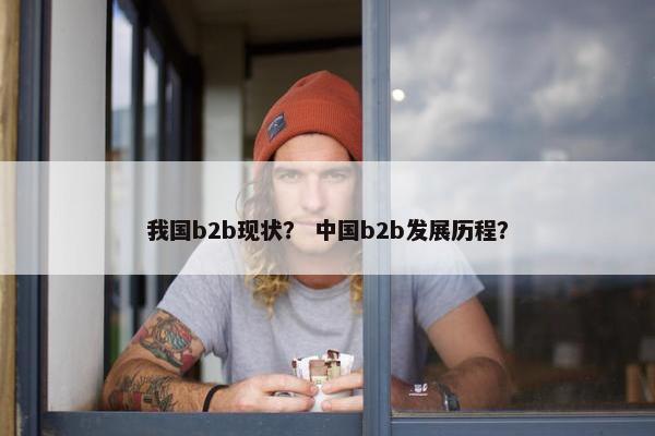 我国b2b现状？ 中国b2b发展历程？