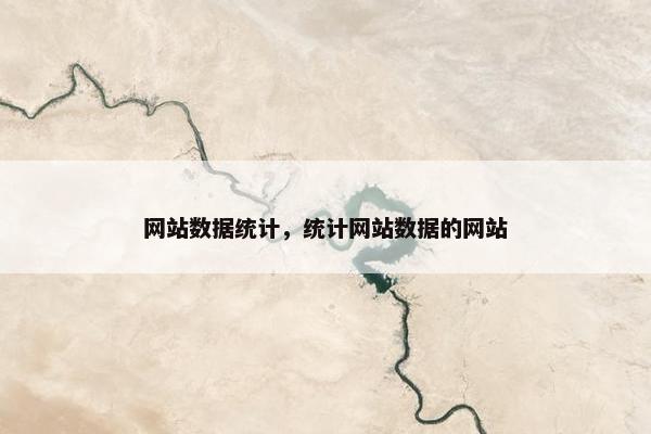 网站数据统计，统计网站数据的网站