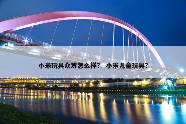 小米玩具众筹怎么样？ 小米儿童玩具？