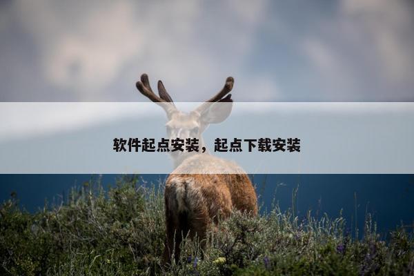 软件起点安装，起点下载安装
