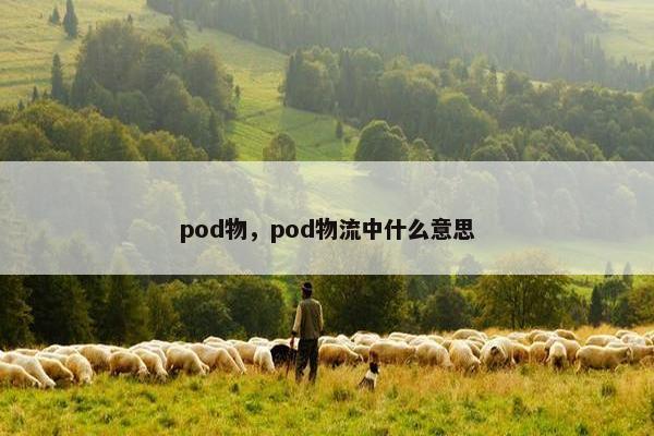 pod物，pod物流中什么意思