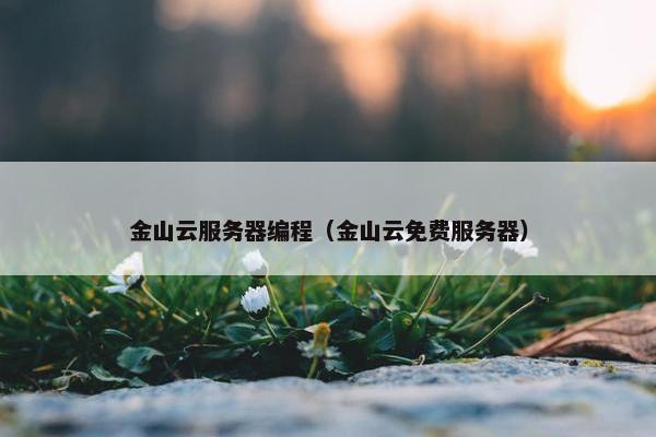 金山云服务器编程（金山云免费服务器）