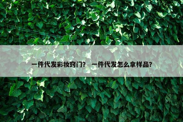 一件代发彩妆窍门？ 一件代发怎么拿样品？