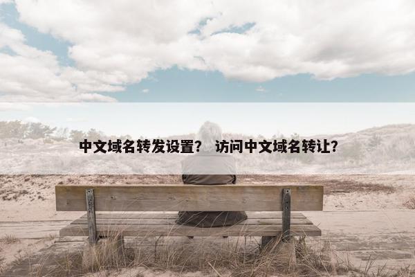 中文域名转发设置？ 访问中文域名转让？