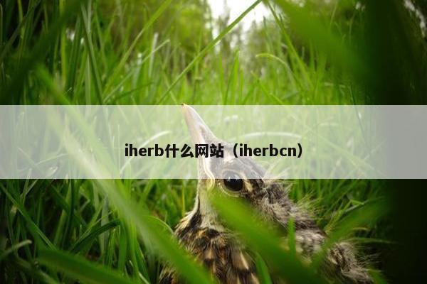 iherb什么网站（iherbcn）