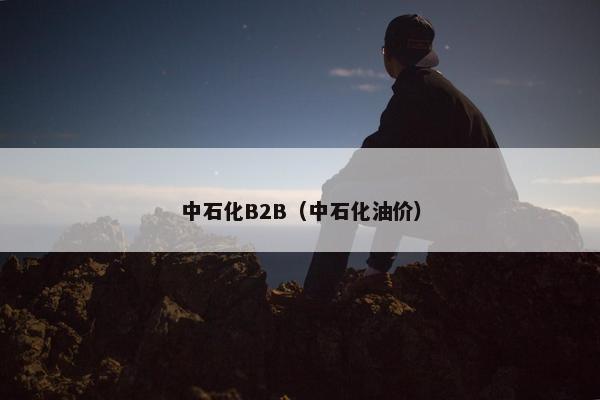 中石化B2B（中石化油价）