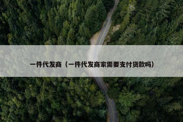 一件代发商（一件代发商家需要支付货款吗）