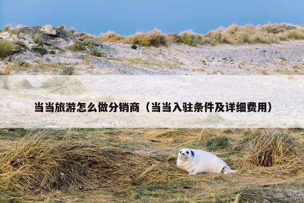 当当旅游怎么做分销商（当当入驻条件及详细费用）