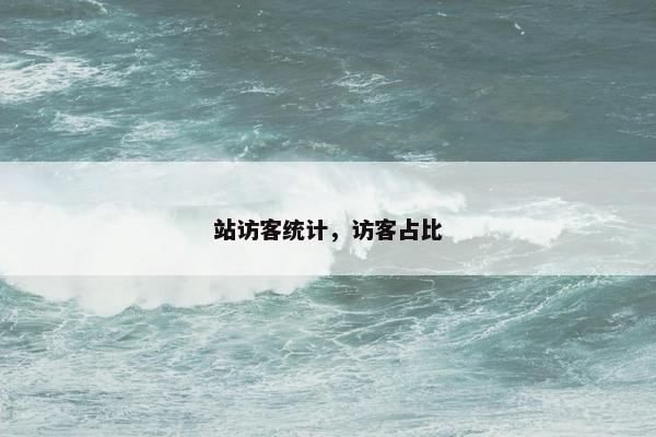 站访客统计，访客占比