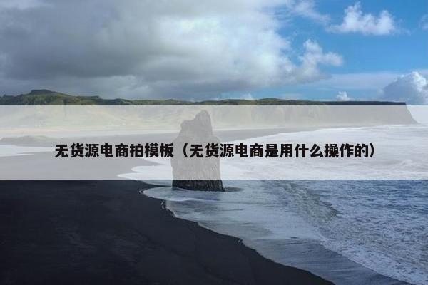 无货源电商拍模板（无货源电商是用什么操作的）