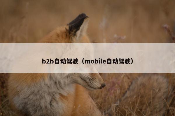 b2b自动驾驶（mobile自动驾驶）