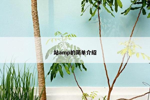 站amp的简单介绍