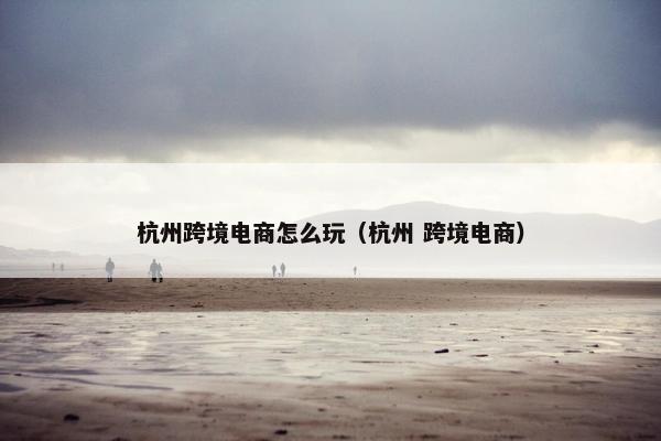杭州跨境电商怎么玩（杭州 跨境电商）