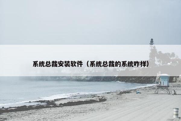 系统总裁安装软件（系统总裁的系统咋样）