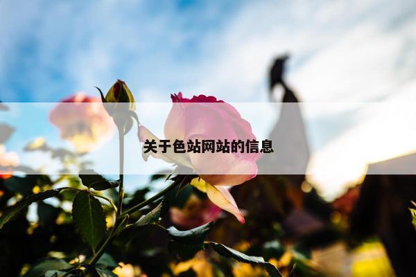 关于色站网站的信息
