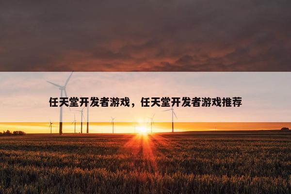 任天堂开发者游戏，任天堂开发者游戏推荐