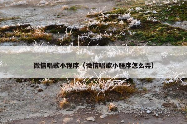 微信唱歌小程序（微信唱歌小程序怎么弄）