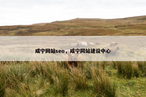 咸宁网站seo，咸宁网站建设中心