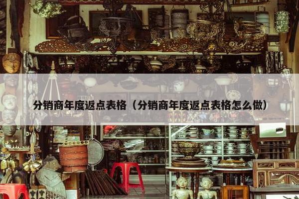 分销商年度返点表格（分销商年度返点表格怎么做）
