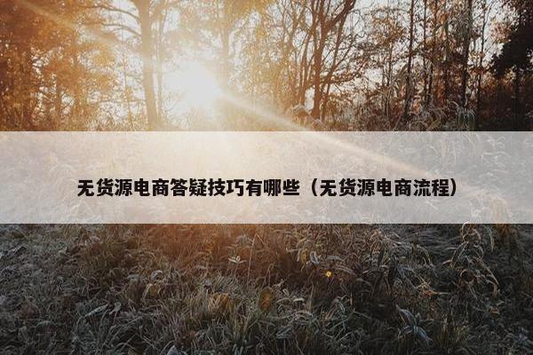 无货源电商答疑技巧有哪些（无货源电商流程）