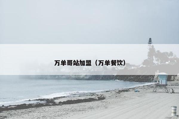 万单哥站加盟（万单餐饮）