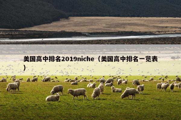 美国高中排名2019niche（美国高中排名一览表）