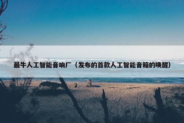 最牛人工智能音响厂（发布的首款人工智能音箱的唤醒）