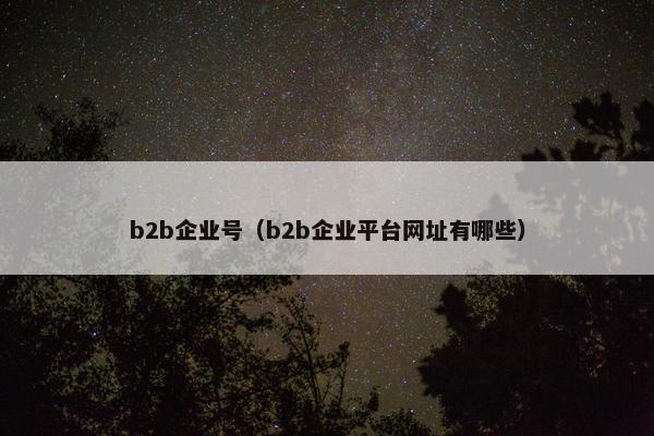 b2b企业号（b2b企业平台网址有哪些）