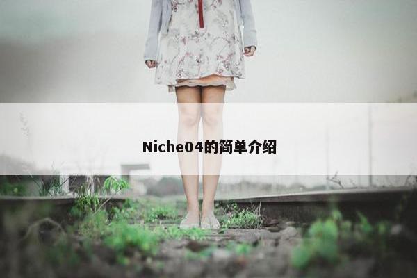 Niche04的简单介绍