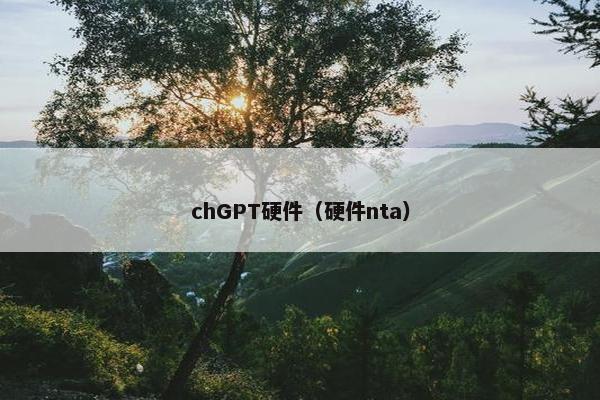 chGPT硬件（硬件nta）