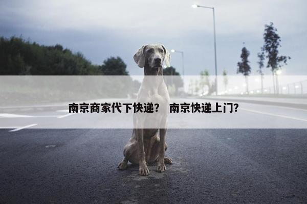 南京商家代下快递？ 南京快递上门？