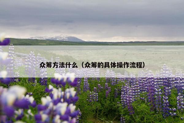众筹方法什么（众筹的具体操作流程）