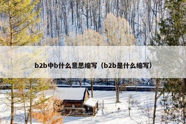 b2b中b什么意思缩写（b2b是什么缩写）